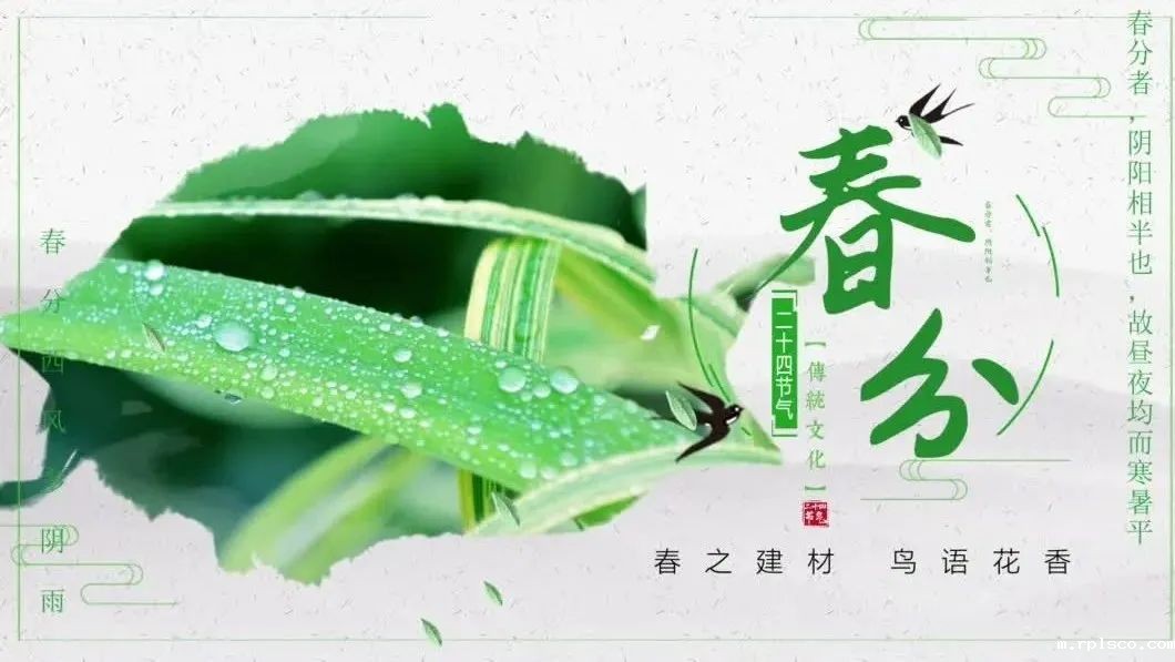 今日春分 | 春之建材,鸟语花香
